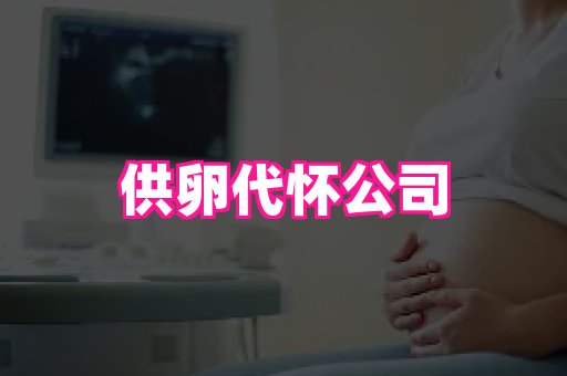 生殖助孕网站 2